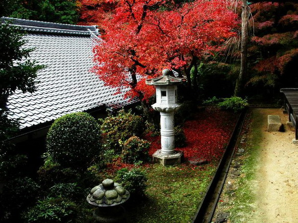 ľЈ(chng)ȱʲô磿Ј(chng)(sh)NЩ