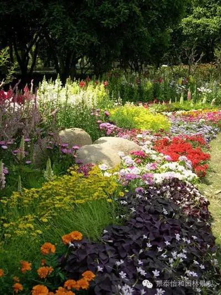 @ֲ---ַN߷B(yng)