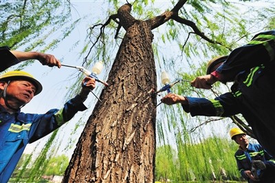 Ј@־G֣2020ꌍFɞġ